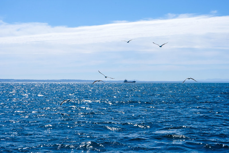 Santé mentale positive Santé mentale positive